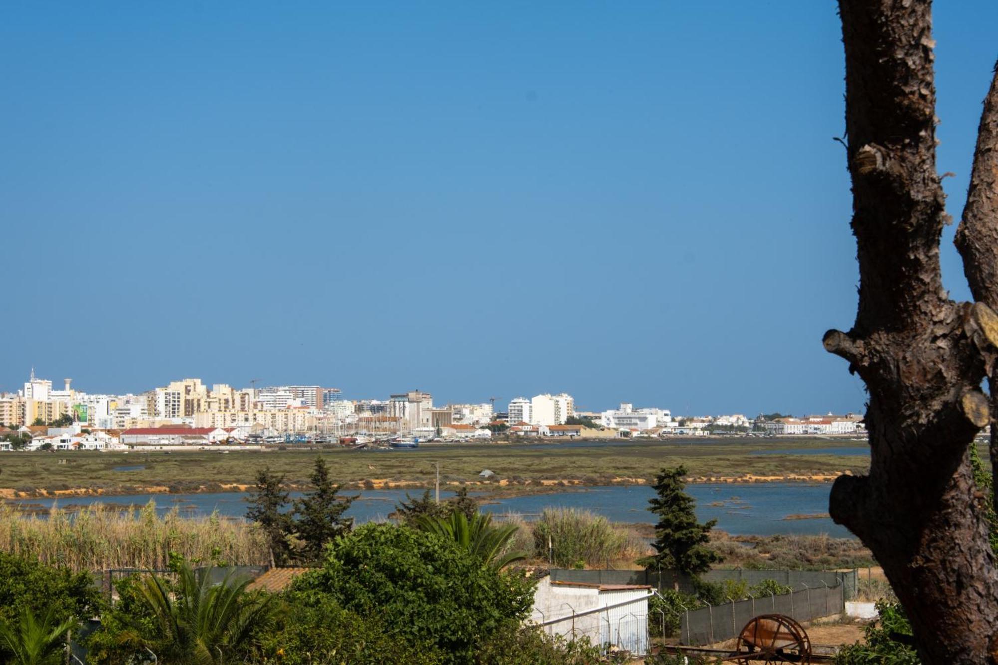 Ria Formosa Guest House Dystrykt Dystrykt Faro Zewnętrze zdjęcie