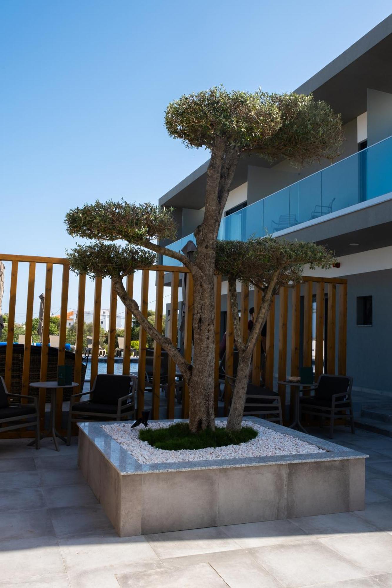 Ria Formosa Guest House Dystrykt Dystrykt Faro Zewnętrze zdjęcie